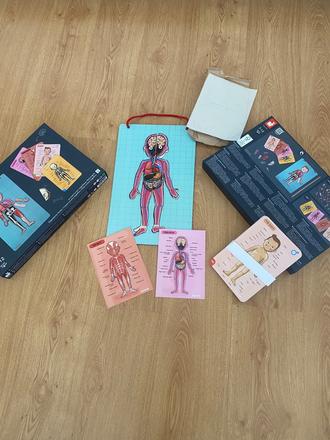 Magnetická skladačka-ľudske telo, 