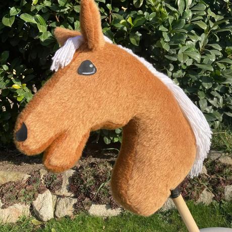 Hobby horse,