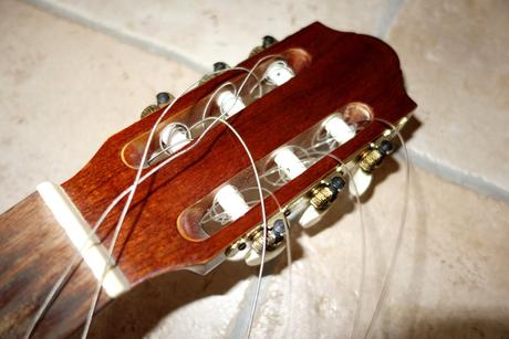 Darujem - utrhnutá kobylka, 