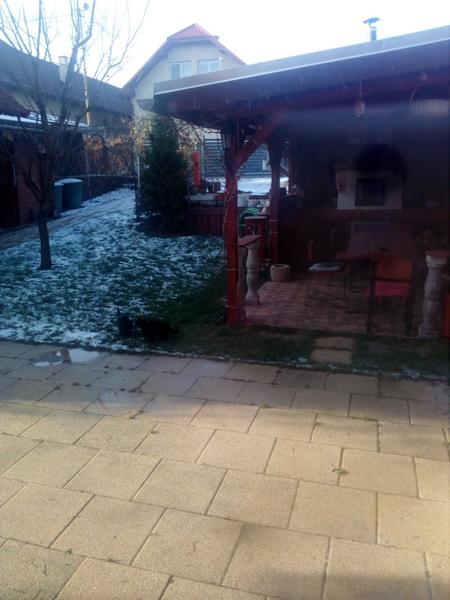 Čierna mačka a zlý pocit z nej