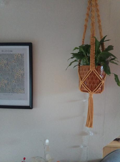 Staroružový závesný kvetináč, 