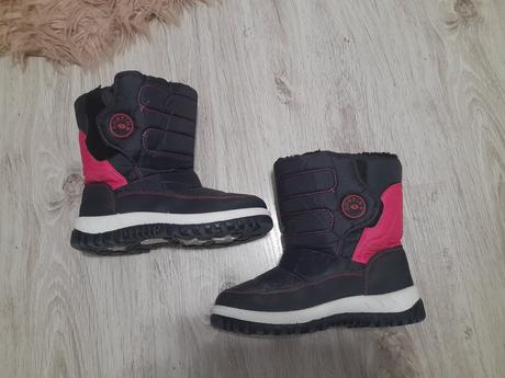 Snehule cortina, 34