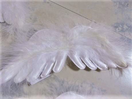 Anjelské krídla z páperia 2ks,