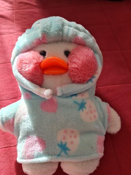 Plysova kačica s oblecenim, 