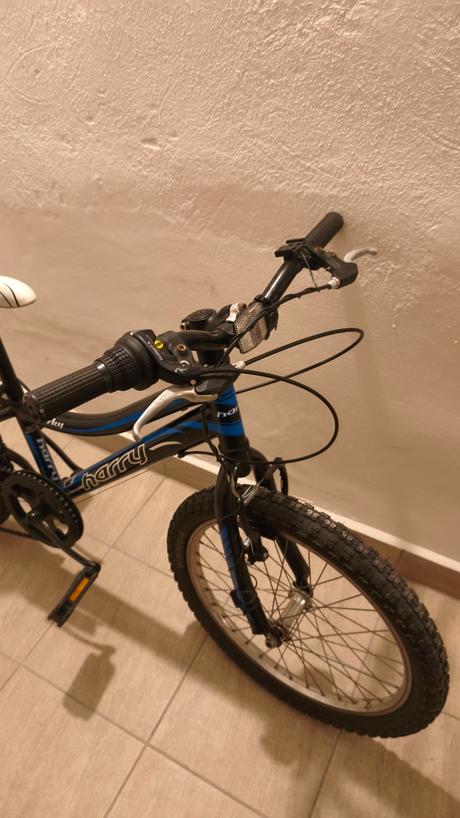 Predám detský bicykel 20, harry,20