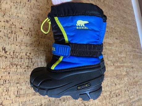 Snehule soreli, sorel,27