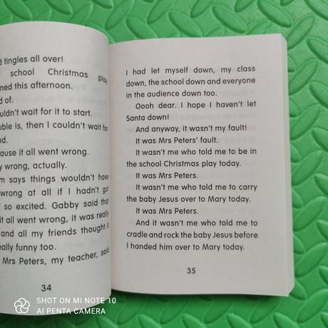 Daisy and the trouble with christmas,