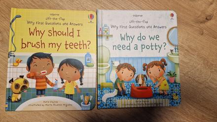 Why do we need a potty/why should i brush my teeth, 