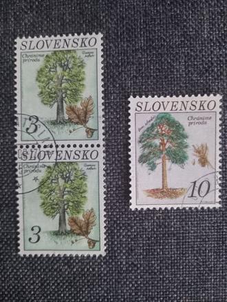 Známka ochrana prírody dub letný a borovica sosna, 