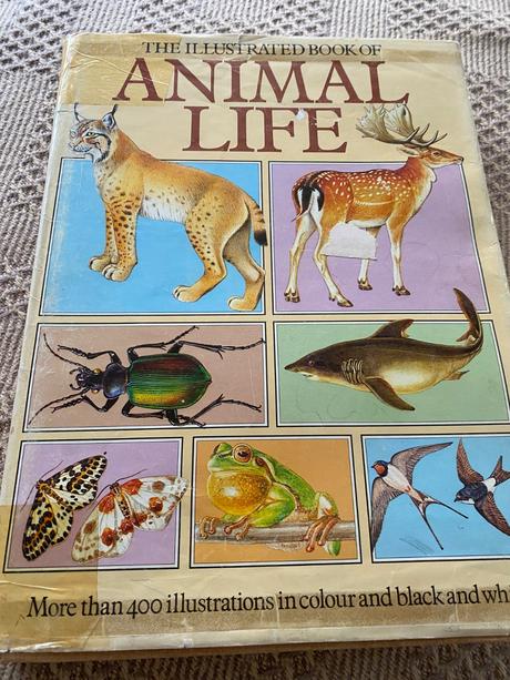 Jana horackova illustrated book of animal life,