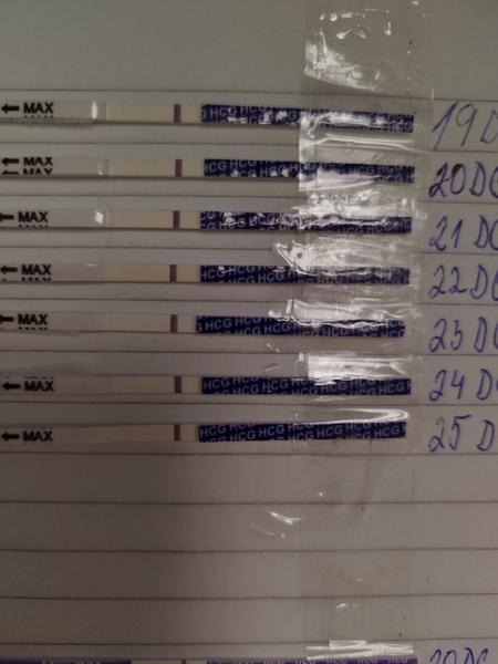 Som 11 dní po ovulácii. Vidíte tam niečo?