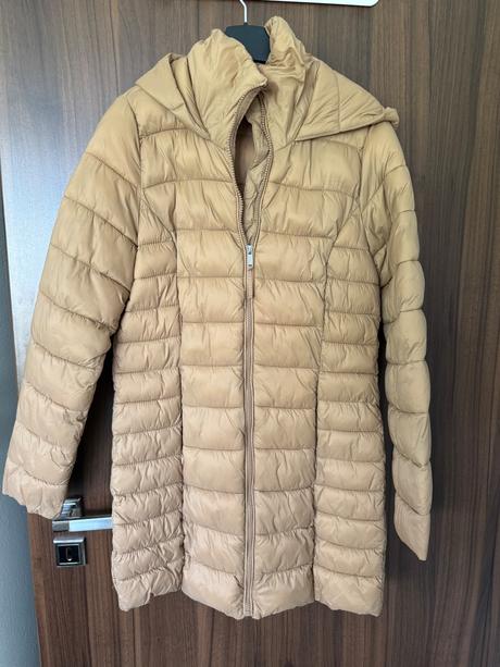 Dlhsia bunda, reserved,38