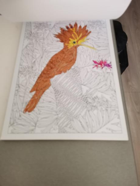 Antistress omalovanka, 