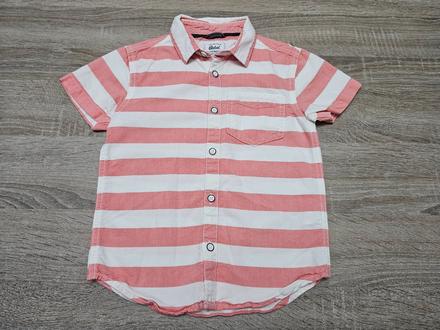 Kosela rebel, rebel,116