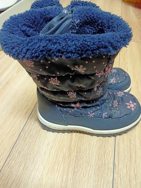 Snehule cortina, veľ. 31, 31