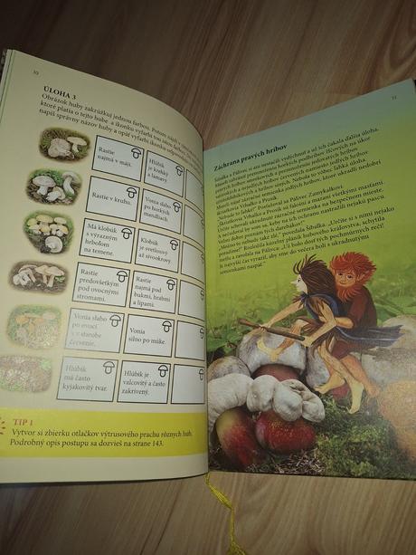 Hubové kráľovstvo, 