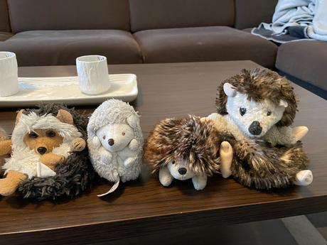 Plyšoví ježkovia, 