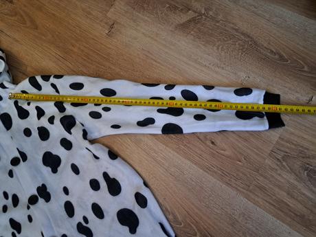 Kostým na karneval, 