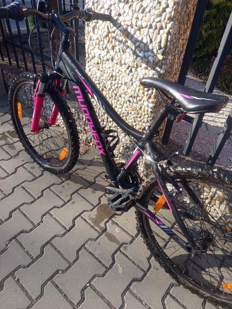 Dievčensky bicykel, 24