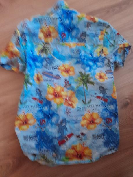 Letna kosela, f&f,122