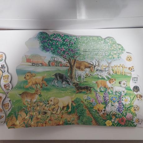 Desat zvedavych medvedikov,