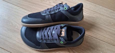 Be lenka champ 2.0, be lenka,38