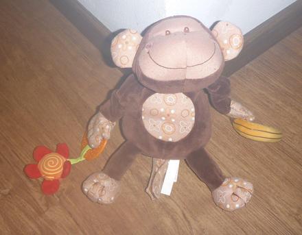 Multifunkčná opička basile lilliputiens, 