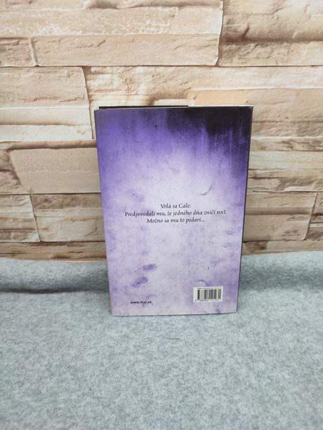 Ľavá ruka boha - paul hoffman, 