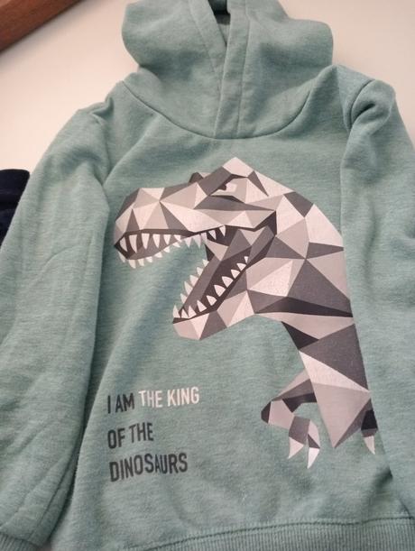 Mikina, dopodopo,110