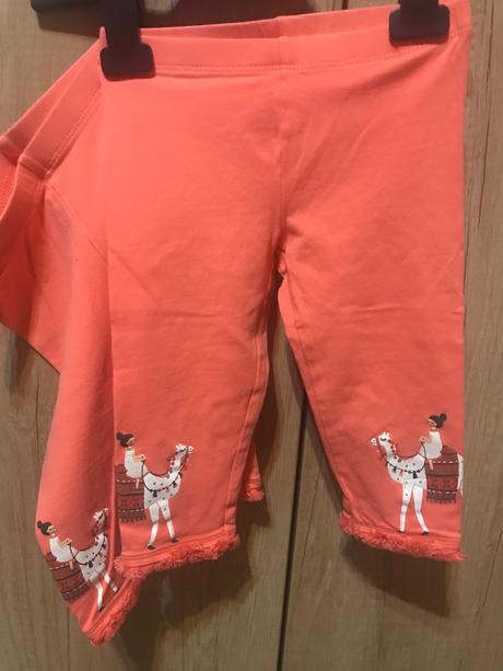 Krátke legíny, palomino,110