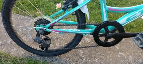 Dievčenský bicykel 20, ctm,20