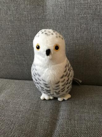 Sova snežná so zvukom, 