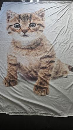 Obliečka mačka, mačiatko, šírka (cm): 140,dĺžka (cm): 200