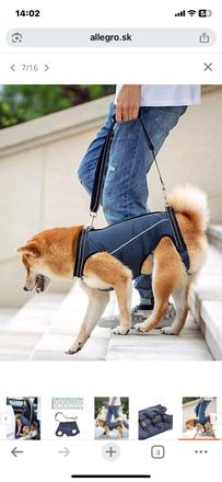 Rehabilitačný postroj,