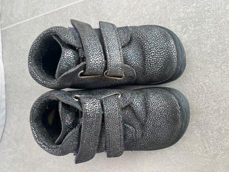 Filii chameleon, filii,25