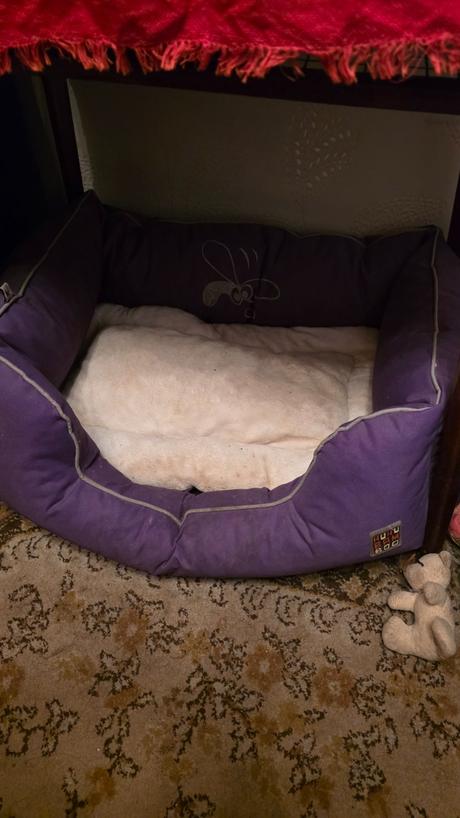 Pelech pre psa 50x40cm,