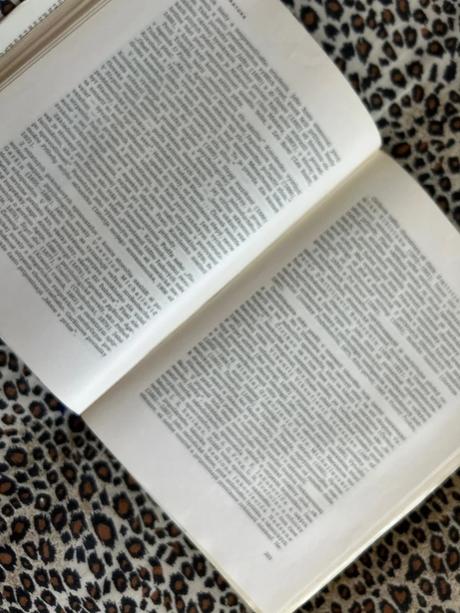 Dejiny svetovej literatúry 2 - kolektiv autorů, 