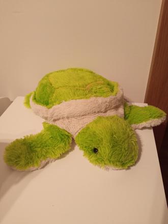 Korytnačka vankúšik, 