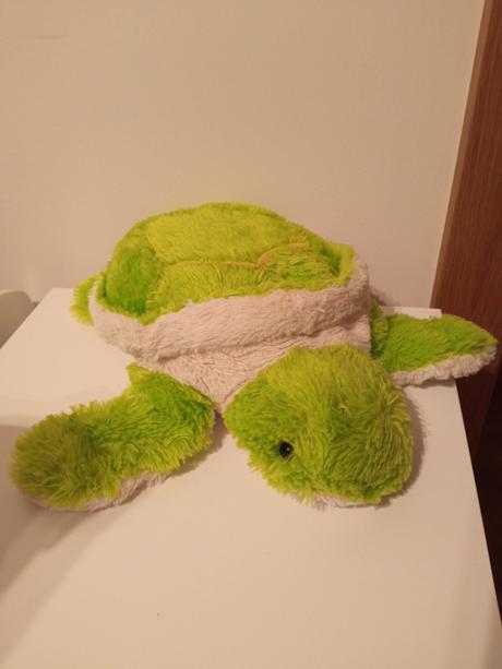 Korytnačka vankúšik, 