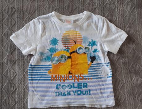 Tricko 104 miniones, 104