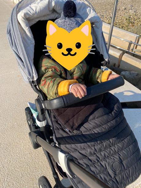 Bugaboo chameleon, bugaboo,bugaboo buffalo