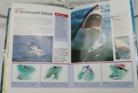 Žraloky - predátory zblízka, dvd s knizočkou, 