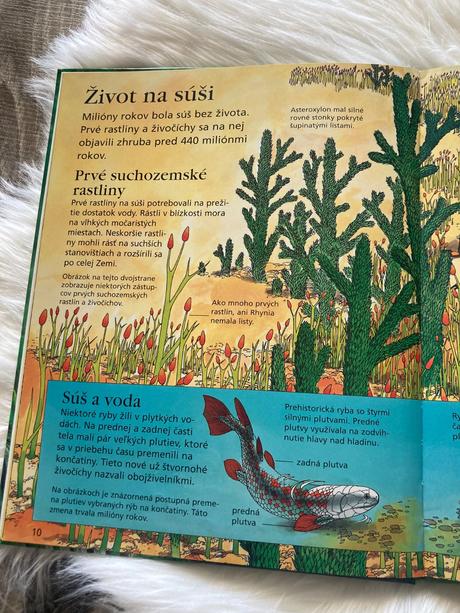 Dinosaury a prehistorický život,