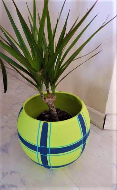 Zaujímavý veľký črepník, 