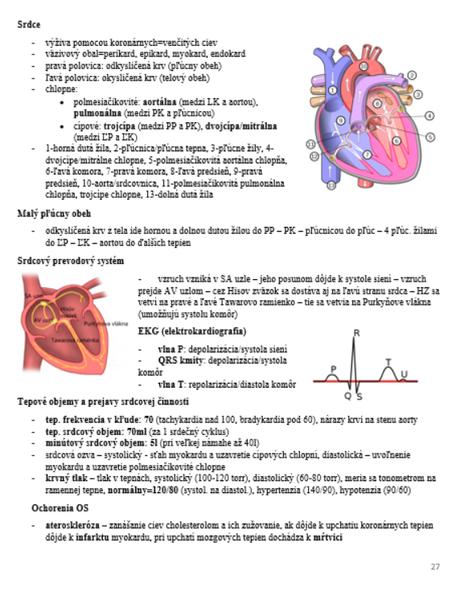 Poznámky na maturitu z biológie/prípravu na vš, 