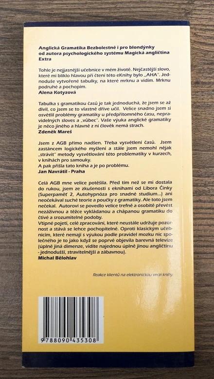 Anglická gramatika bezbolestně i pro blondýnky, 