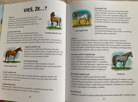 Kniha príbehy o koníkoch, 