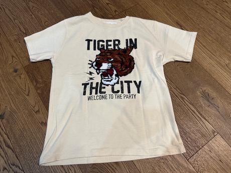 Veci pre chlapceka, 104–116