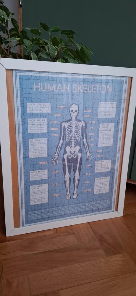 Puzzle skeleton, 