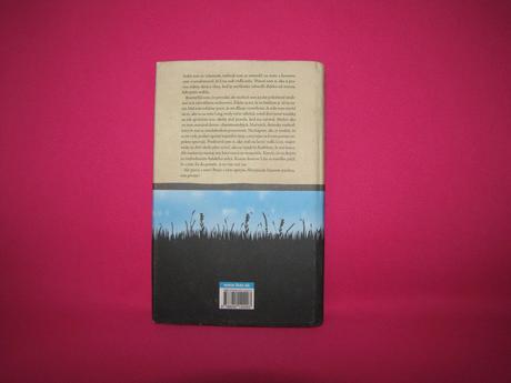 Jojo moyesová - strieborný záliv, 